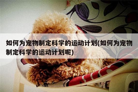 如何为宠物制定科学的运动计划(如何为宠物制定科学的运动计划呢)