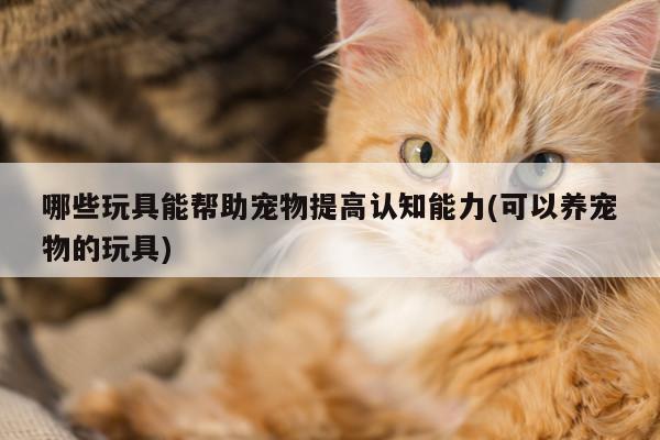 哪些玩具能帮助宠物提高认知能力(可以养宠物的玩具)