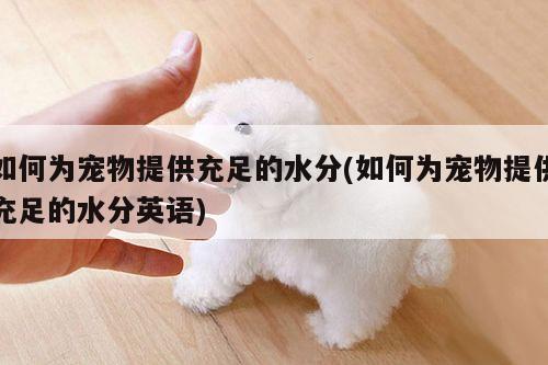 如何为宠物提供充足的水分(如何为宠物提供充足的水分英语)