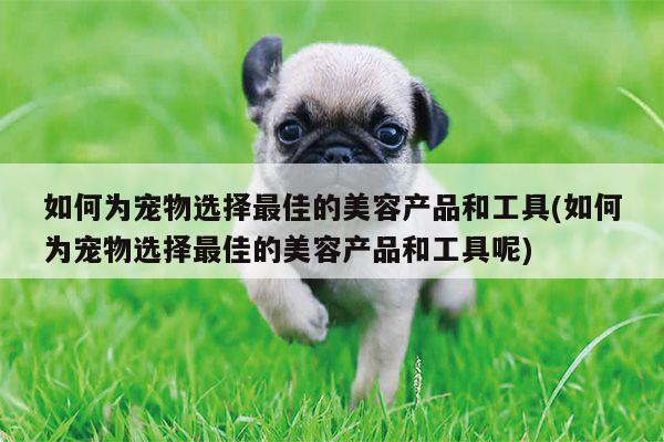 如何为宠物选择最佳的美容产品和工具(如何为宠物选择最佳的美容产品和工具呢)