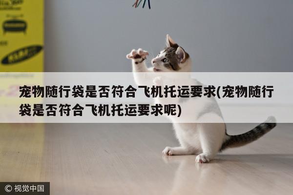 宠物随行袋是否符合飞机托运要求(宠物随行袋是否符合飞机托运要求呢)