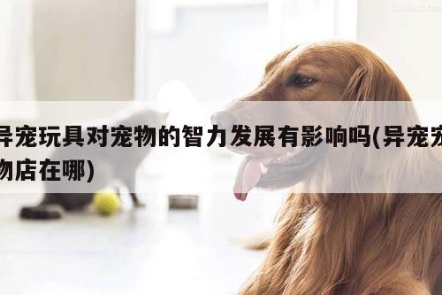 异宠玩具对宠物的智力发展有影响吗(异宠宠物店在哪)