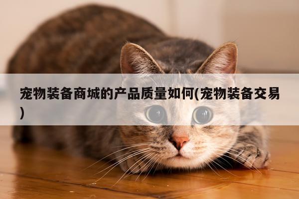 宠物装备商城的产品质量如何(宠物装备交易)