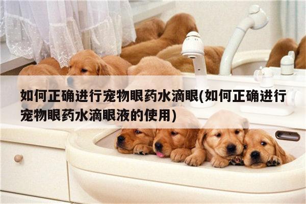 如何正确进行宠物眼药水滴眼(如何正确进行宠物眼药水滴眼液的使用)