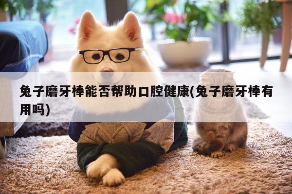 兔子磨牙棒能否帮助口腔健康(兔子磨牙棒有用吗)