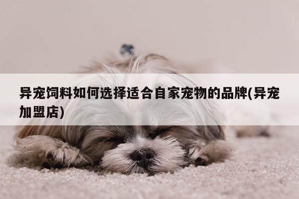 异宠饲料如何选择适合自家宠物的品牌(异宠加盟店)