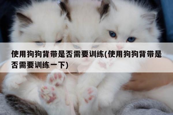 使用狗狗背带是否需要训练(使用狗狗背带是否需要训练一下)