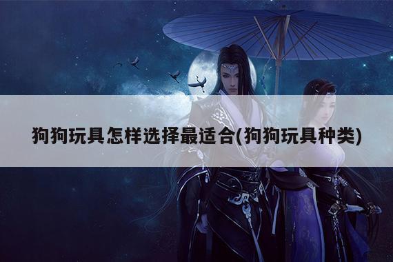 狗狗玩具怎样选择最适合(狗狗玩具种类)