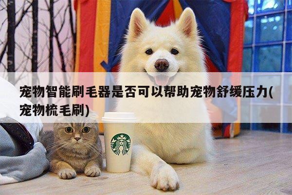 宠物智能刷毛器是否可以帮助宠物舒缓压力(宠物梳毛刷)