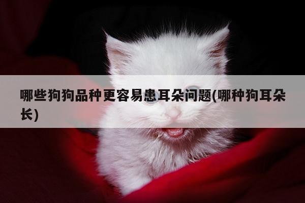 哪些狗狗品种更容易患耳朵问题(哪种狗耳朵长)