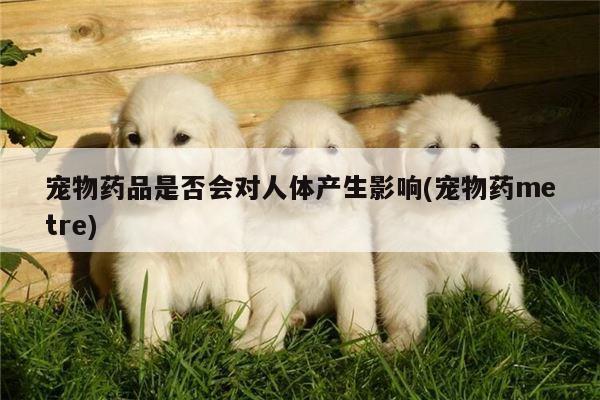 宠物药品是否会对人体产生影响(宠物药metre)