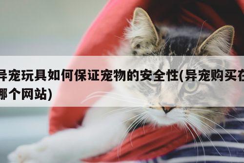 异宠玩具如何保证宠物的安全性(异宠购买在哪个网站)