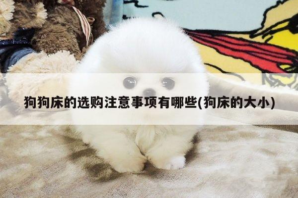 狗狗床的选购注意事项有哪些(狗床的大小)