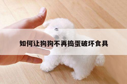 如何让狗狗不再捣蛋破坏食具