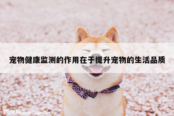 宠物健康监测的作用在于提升宠物的生活品质